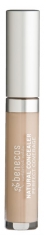 Benecos Natural Concealer Perfect Coverage 5ml
