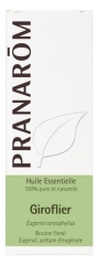 Huile Essentielle Giroflier (Eugenia caryophyllus) 10 ml