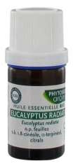 Phytosun Arôms Eucalyptus Radiata Bio 5 ml