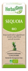 HerbalGem Bio Sequoia 30 ml
