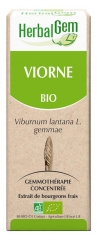 HerbalGem Bio Viorne 30 ml
