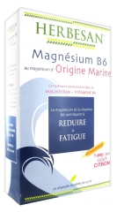 Herbesan Magnésium Marin B6 20 Ampoules