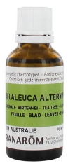 Pranarôm Huile Essentielle Tea-Tree (Melaleuca alternifolia) 30 ml