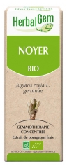 HerbalGem Bio Noyer 30 ml