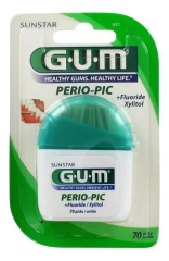 GUM Perio Pic 70 Unités