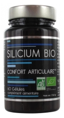 Nutrivie Silicium Bio 60 Gélules