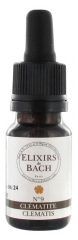 Elixirs & Co Bach Elixirs No. 9 Clematis 10 ml