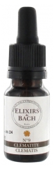 Elixirs & Co Elixires de Bach Nº 9 Clemátide 10 ml