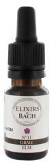 Elixirs & Co Bach Elixirs No. 11 Elm 10 ml
