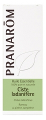 Pranarôm Cistus Ladaniferus Essential Oil 5 ml