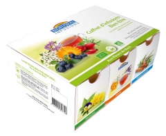 Biofloral Infusions Bio-Wellness Kräutertee-Box 60 Beutel