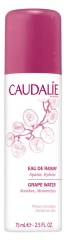 Caudalie Eau de Raisin Bio 75 ml