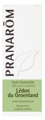 Pranarôm Huile Essentielle Lédon du Groenland (Ledum groenlandicum) 5 ml