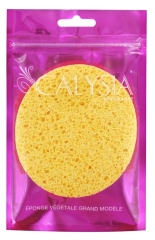 Calysia Lielais Augu Sūklis