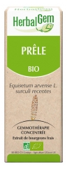HerbalGem Organic Horsetail 30ml