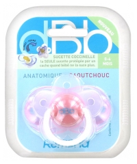 dBb Remond Anatomic Rubber Ladybug Soother 0-4 Months