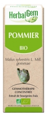 HerbalGem Bio-Apfelbaum 30 ml