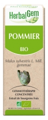 HerbalGem Bio Pommier 30 ml