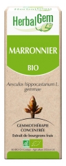 Bio Marronnier 30 ml