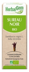 HerbalGem Bio Sureau 30 ml