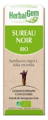 HerbalGem Sambuco Biologico 30 ml
