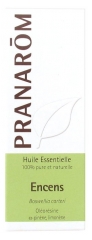 Pranarôm Essential Oil Incense (Boswellia carteri) 5 ml
