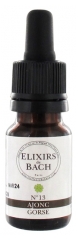 Elixirs & Co Bach Elixirs No. 13 Gorse 10 ml