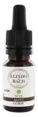 Elixirs & Co Bachblüten-Elixier Nr. 13 Stechginster 10 ml