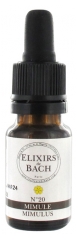 Elixirs & Co Bachblüten-Elixier Nr. 20 Gefleckte Gauklerblume 10 ml