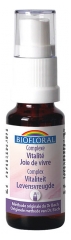 Biofloral Fleurs de Bach Complexe Vitalité Joie de Vivre C2 Bio 20 ml