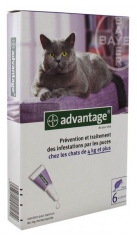 Bayer Advantage 80 Solution Antipuce Pour Chats de 4kg et Plus 6 Pipettes