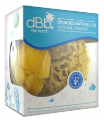 dBb Remond 2 Natural Sponges