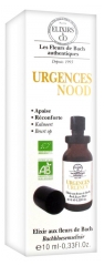 Elixirs & Co Notfall Spray 10 ml