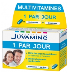 Juvamine Multivitamines 1 par Jour 42 Gélules