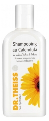 Dr. Theiss Calendula Shampoo 200 ml