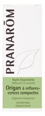 Pranar&ocirc;m &Auml;therisches &Ouml;l Kompakter Bl&uuml;tenstand Oregano (Origanum compactum) 10 ml