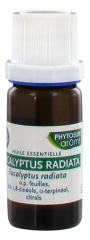 Phytosun Arôms Eucalyptus Radiata 10ml