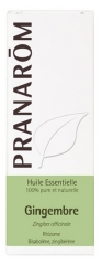 Pranarôm Huile Essentielle Gingembre (Zingiber officinale) 5 ml