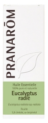 Pranarôm Huile Essentielle Eucalyptus Radié (Eucalyptus radiata) 10 ml