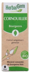HerbalGem Corniolo Organico 30 ml