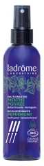 Eau Florale de Menthe Poivrée Bio 200 ml