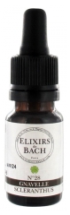 Elixirs & Co Bachblüten-Elixier Nr. 28 Scleranthus / Einjähriger Knäuel 10 ml