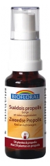 Biofloral Schwede Propolis Hals- und Atemwege Bio 20 ml