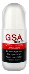 Aquasilice GSA Roll'On Gel Surconcentré Articulaire 40 ml