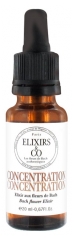 Elixirs & Co Konzentration 20 ml
