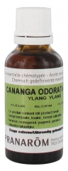 Pranarôm Huile Essentielle Ylang-Ylang Extra (Cananga odorata) 30 ml
