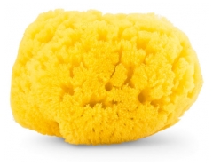 Chicco Natūrali Jūros Kempinėlė Vidutinė 0 Mėn. ir +