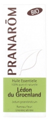 Pranarôm Bio Essential Oil Labrador-Tea (Ledum groenlandicum) 5 ml