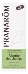 Pranarôm Huile Essentielle Menthe des Champs (Mentha arvensis) Bio 10 ml