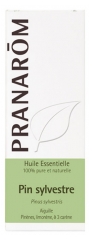Pranarôm Olio Essenziale di Pino Silvestre (Pinus Sylvestris) 10 ml